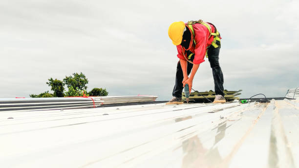 Roof Insulation in Elmwood, IL